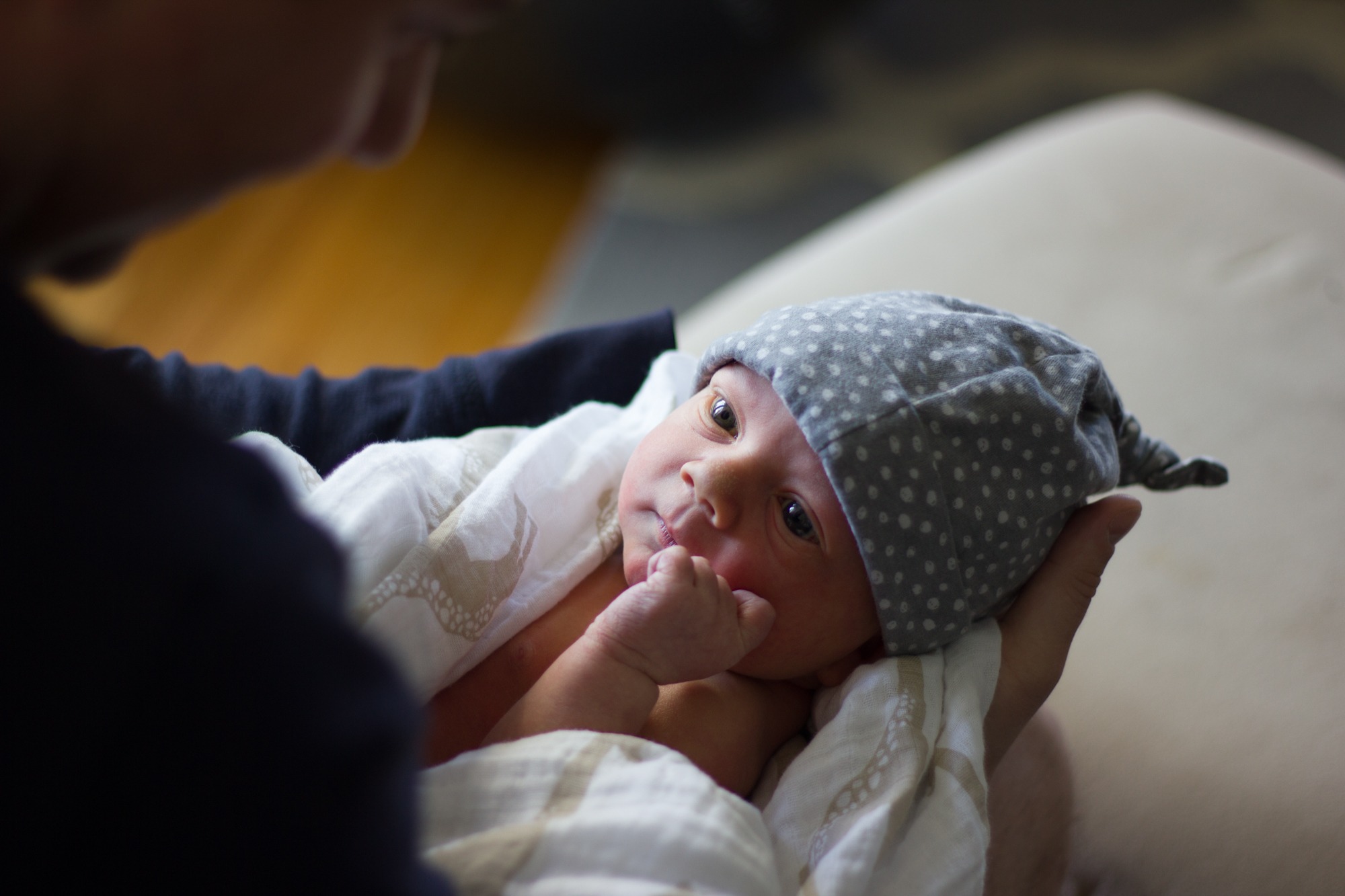 fathers holds newborn baby photosession in home