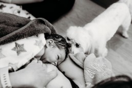 Newborn baby nurses while dog smells their head in short time after birth at home